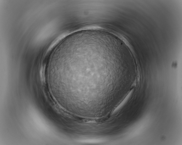X0000115331054200911161804