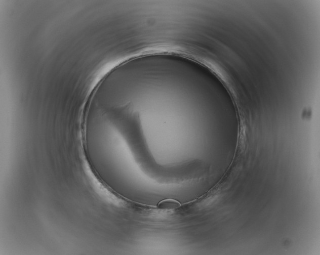 X0000115331055200911161804