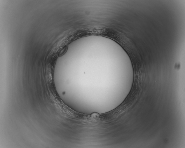 X0000115331058200911161803