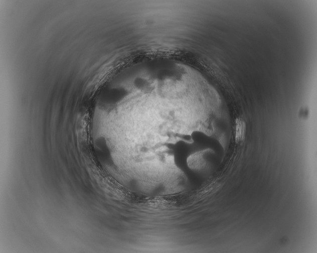 X0000115331059200911161803