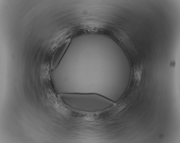 X0000115331060200911161803