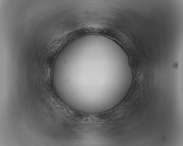 X0000115331061200911161803
