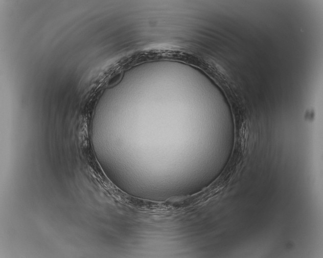 X0000115331062200911161803