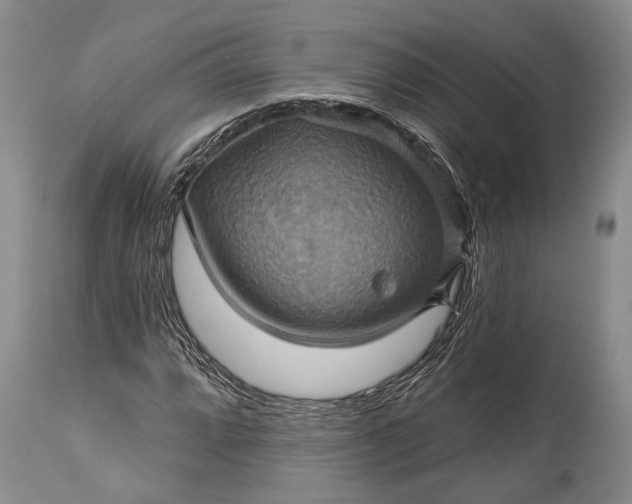X0000115331064200911161803