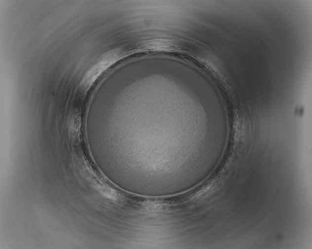 X0000115331065200911161803