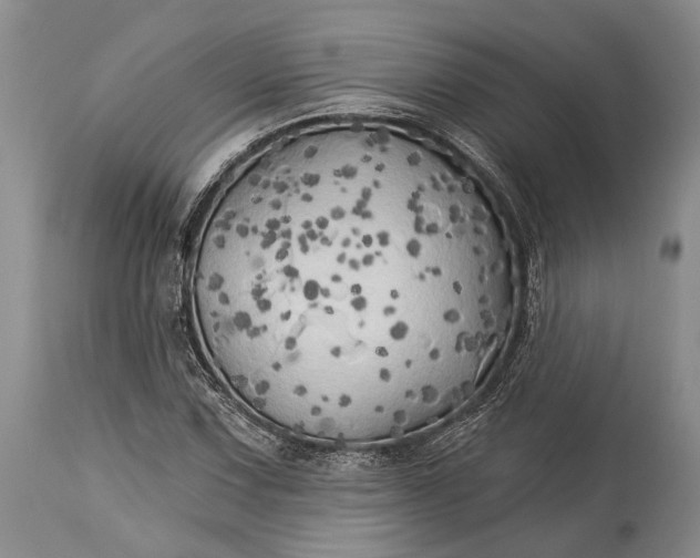 X0000115331067200911161803