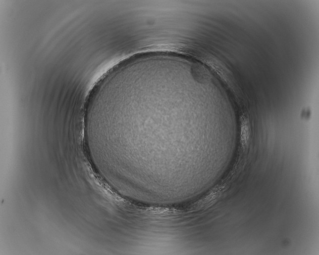 X0000115331069200911161803