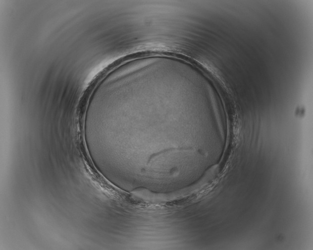 X0000115331070200911161803