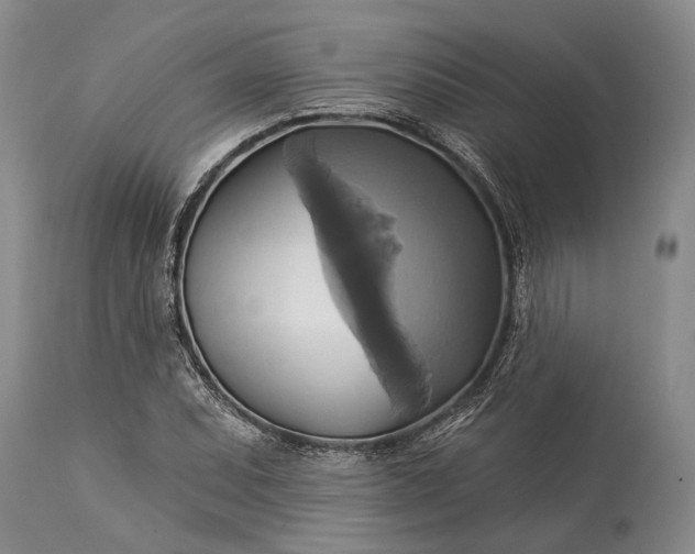 X0000115331071200911161803