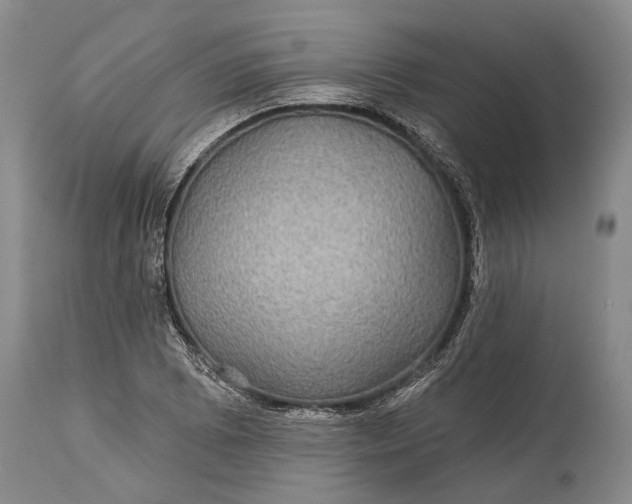 X0000115331073200911161803