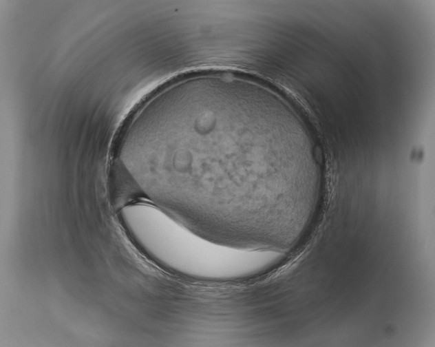 X0000115331077200911161803