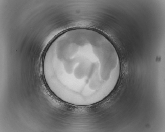 X0000115331078200911161803