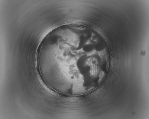 X0000115331079200911161803