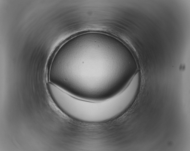 X0000115331080200911161803