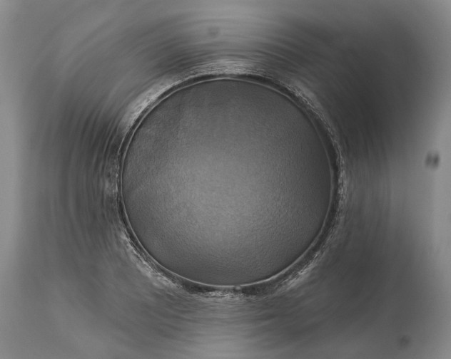 X0000115331081200911161803