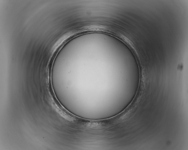 X0000115331082200911161803