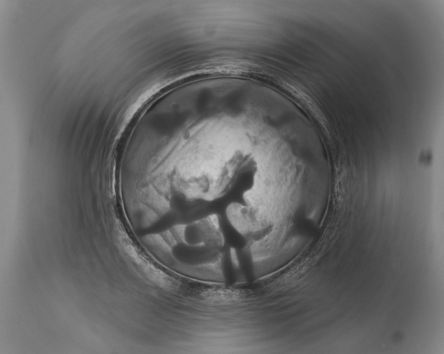 X0000115331083200911161803