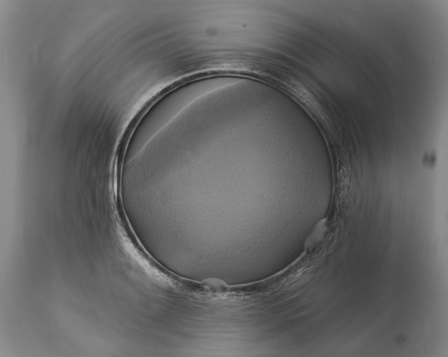 X0000115331084200911161803