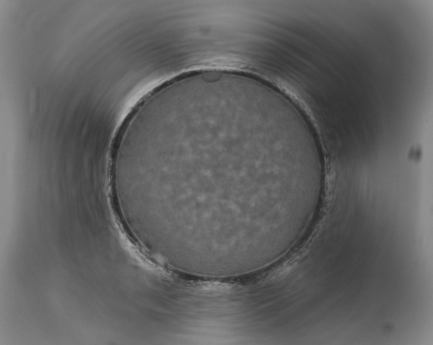 X0000115331085200911161803