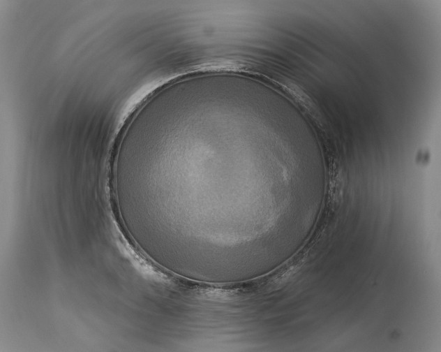 X0000115331086200911161803