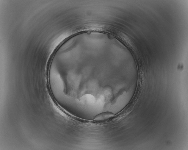 X0000115331087200911161803