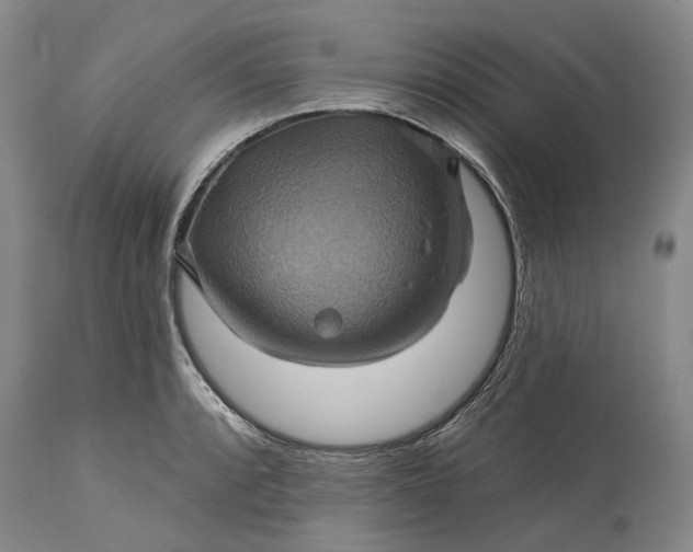 X0000115331088200911161803