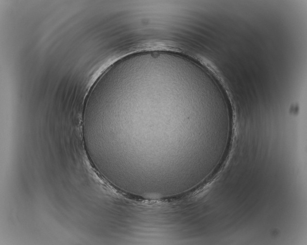 X0000115331089200911161803