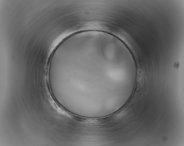 X0000115331094200911161803