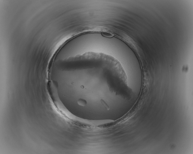 X0000115331095200911161803