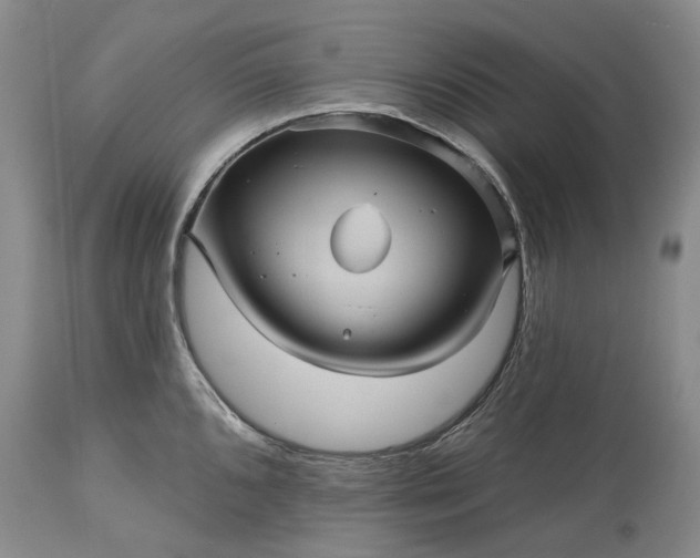 X0000115331096200911161803