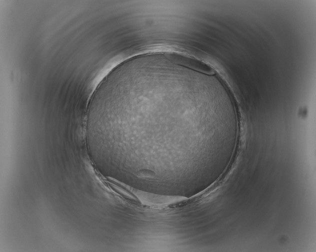 X0000115331097200911161803