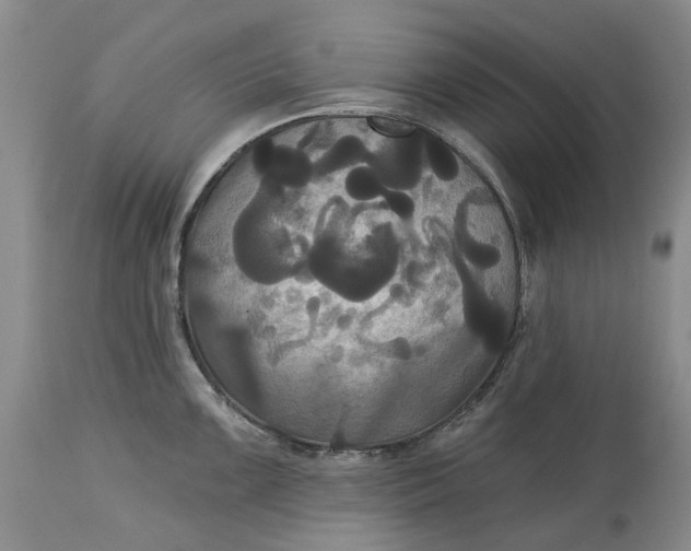 X0000115331099200911161803
