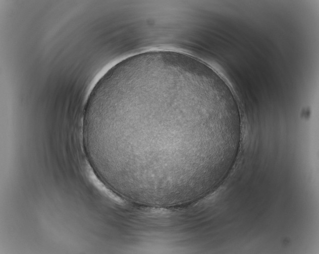 X0000115331100200911161803