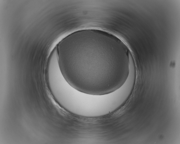 X0000115331101200911161803