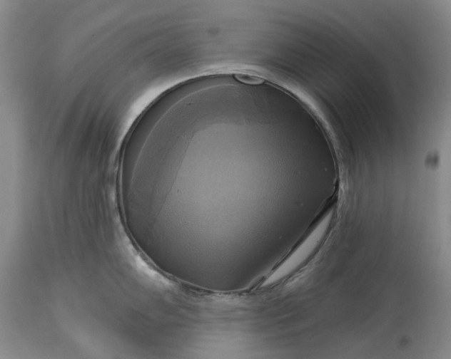 X0000115331102200911161803