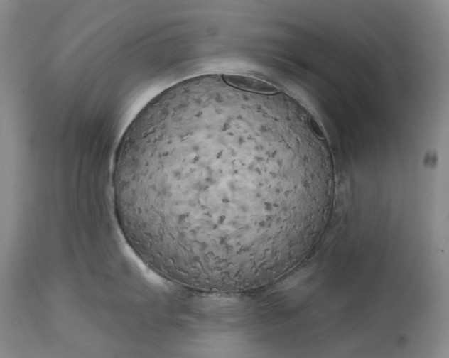 X0000115331103200911161803