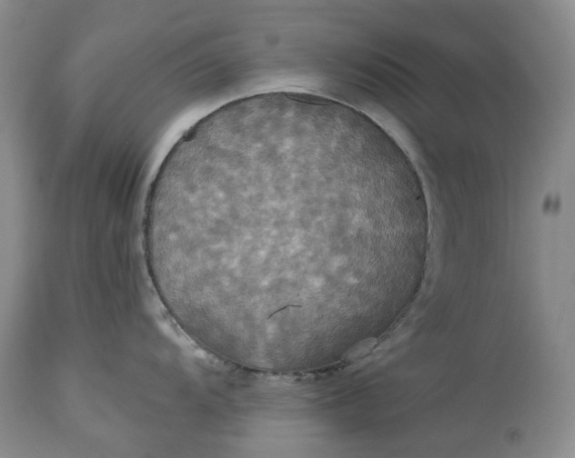 X0000115331104200911161803