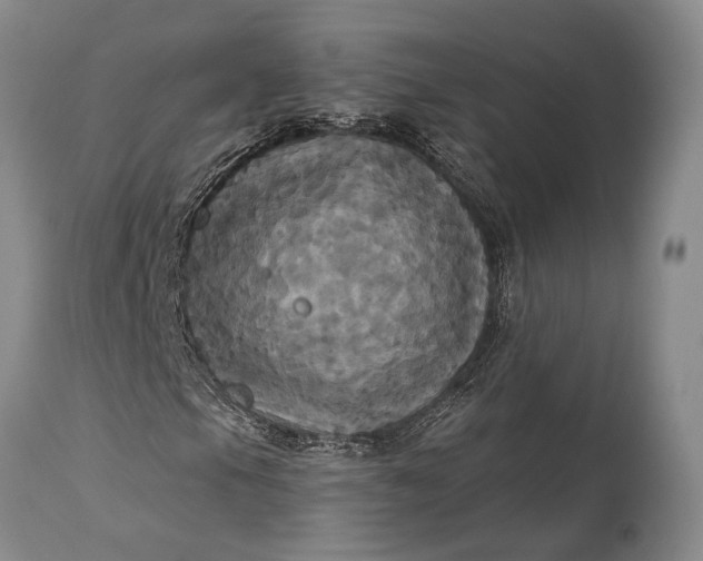 X0000115331105200911161802