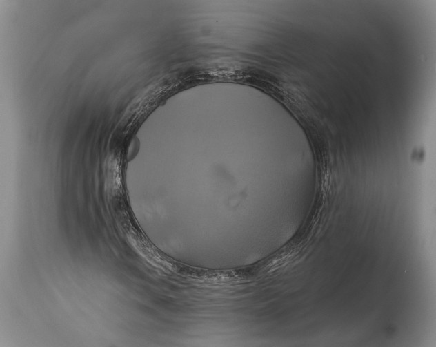 X0000115331106200911161802
