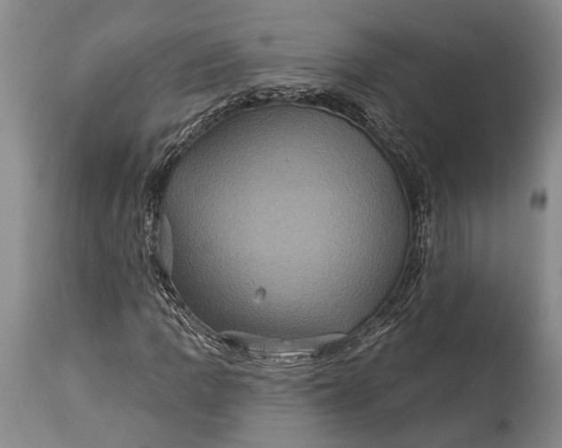 X0000115331109200911161802