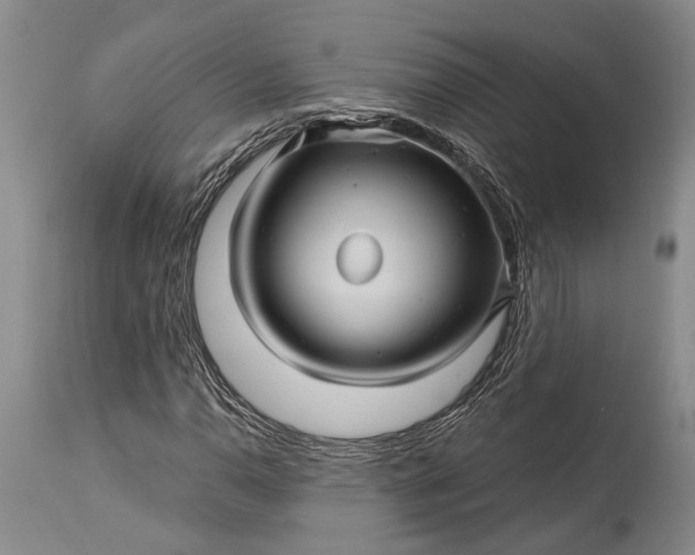 X0000115331110200911161802