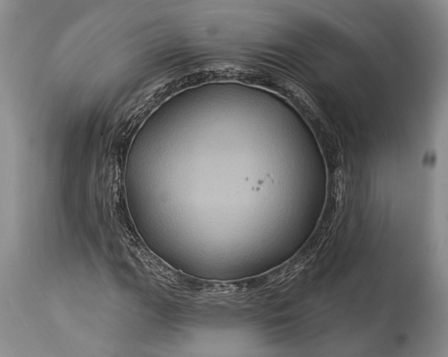X0000115331111200911161802