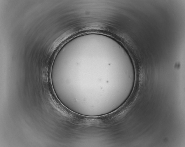 X0000115331113200911161802