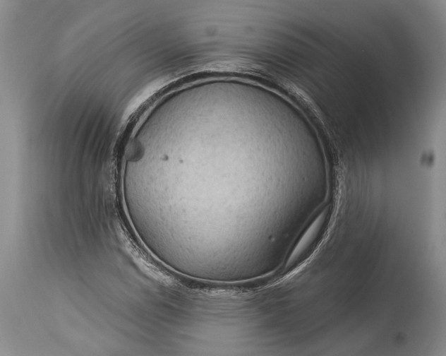 X0000115331114200911161802