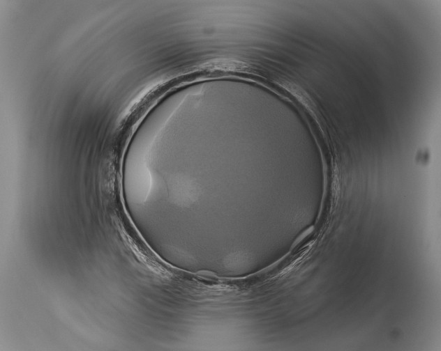 X0000115331115200911161802
