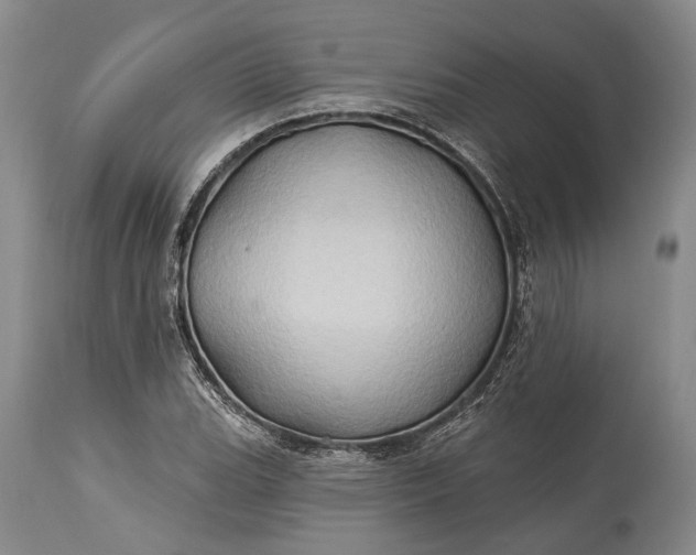 X0000115331119200911161802