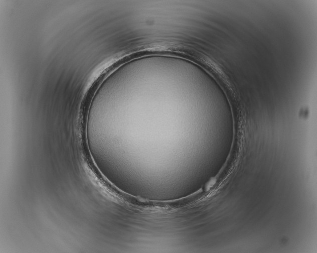 X0000115331122200911161802
