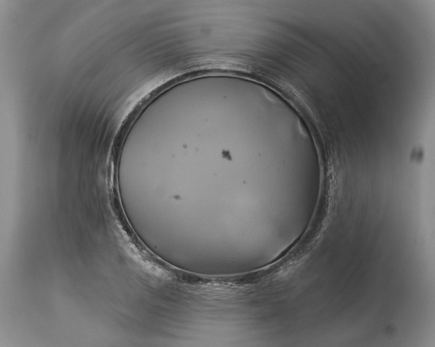 X0000115331125200911161802
