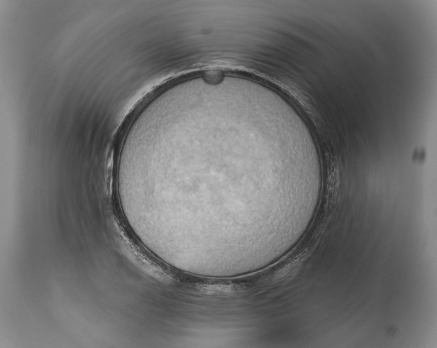 X0000115331126200911161802