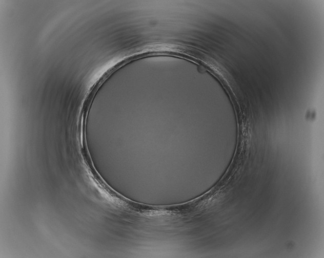 X0000115331127200911161802